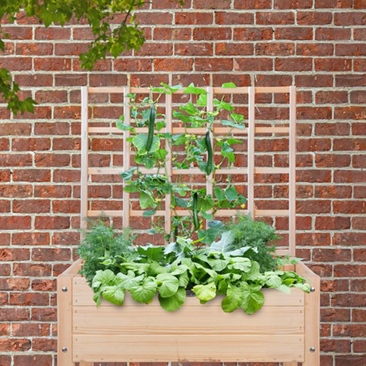 Actual product image Esschert Design Raised bed trellis blank S