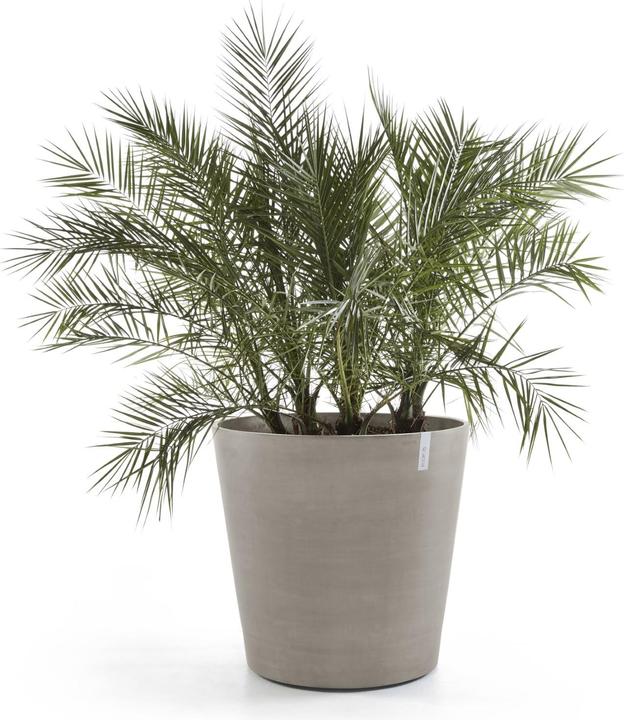 Produktbild Ecopots Amsterdam Wheels (60 cm)