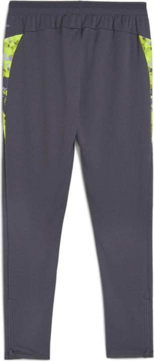 Actual product image Puma individualCUP Training Pants (L)
