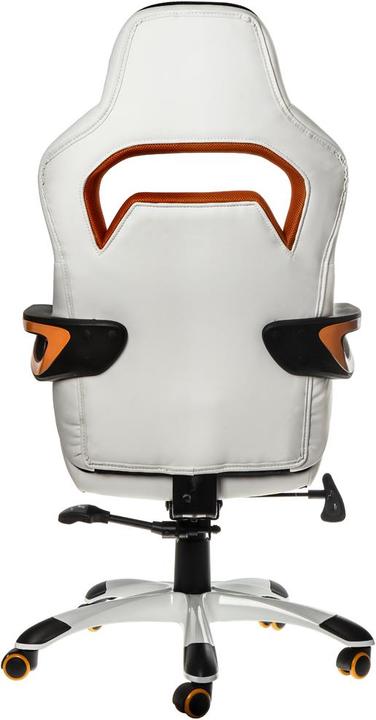Actual product image Nitro Concepts E220 Evo