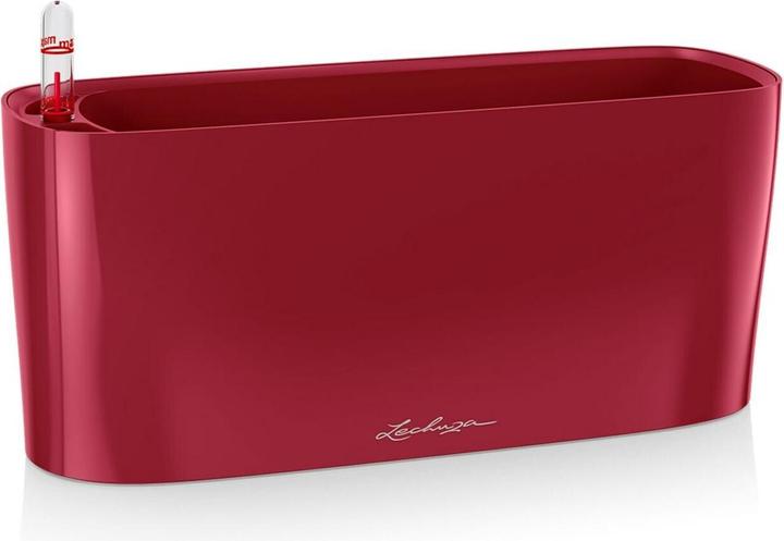 Scarlet Red High Gloss