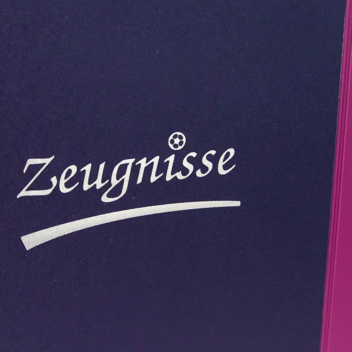 Image du produit Idena Carnet de notes A4 10 pochettes violet (A4, 1 x)