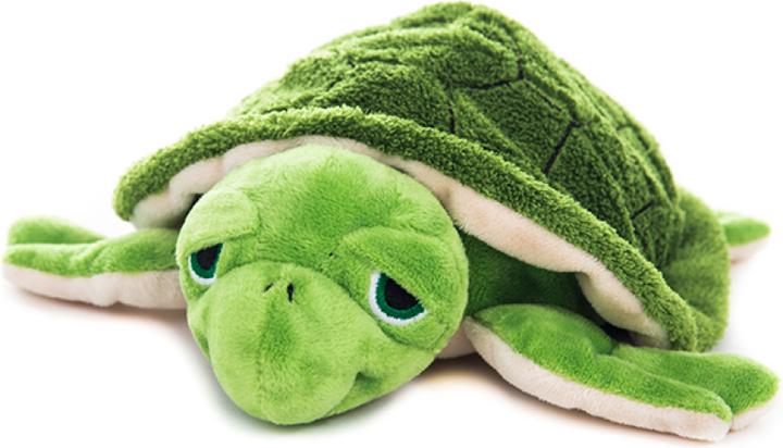 Habibi Wasserschildkröte (35 cm)