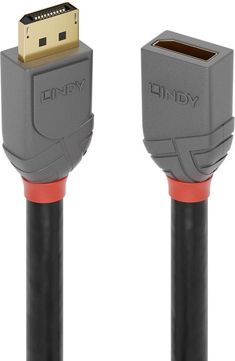 Actual product image Lindy DisplayPort — DisplayPort (0.50 m, DisplayPort)