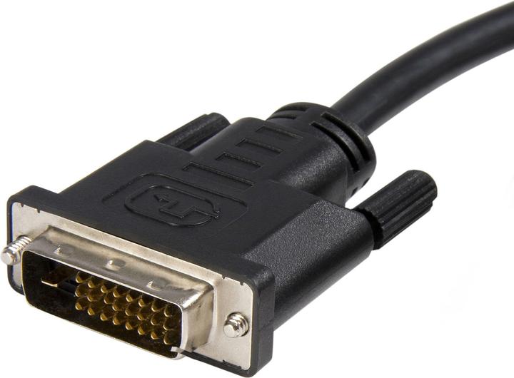 Actual product image StarTech 6ft Displayport To Dvi Cable (1.80 m, DisplayPort)