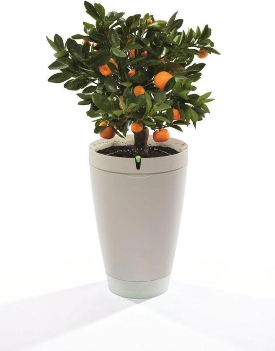 Image du produit Parrot Flower Power Pot capteur pour plantes