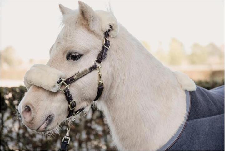 Produktbild Kentucky Horsewear Pony Lederhalfter
