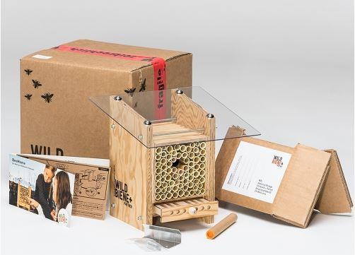 Immagine prodotto Wildbiene BeeHome Observer (Ape)