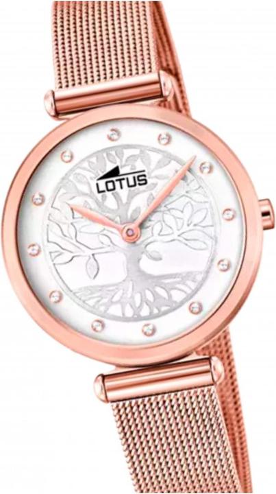 Lotus iss 18710/1 (29 mm)