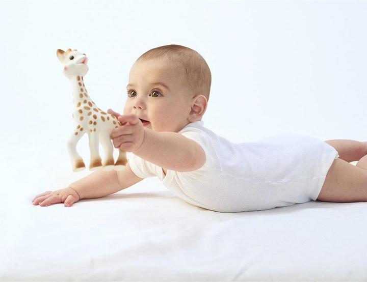 Actual product image Sophie la girafe Gripper