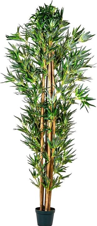 Plantasia Bambus Strauch (160 cm)