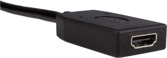Actual product image StarTech Displayport Video Converter (HDMI, 24 cm)
