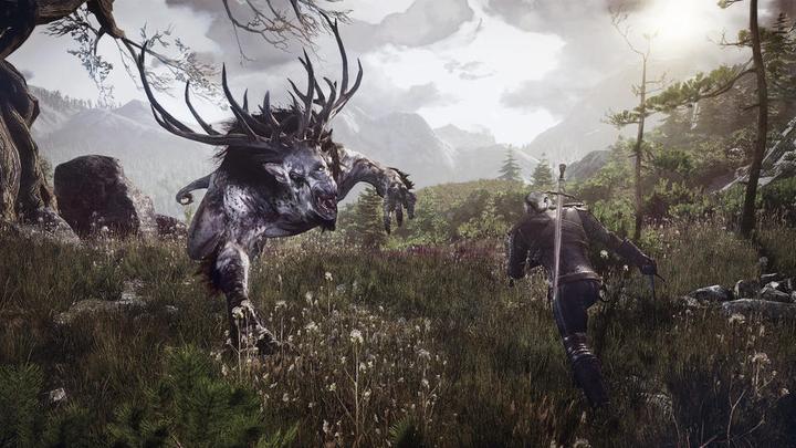 Actual product image Bandai Namco The Witcher III Game of the Year Edition (PS4, EN)