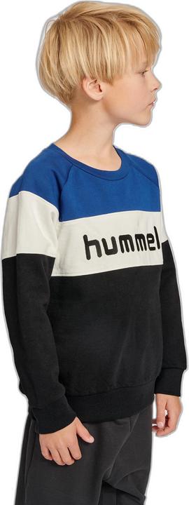 Actual product image hummel Claes Sweatshirt (110)