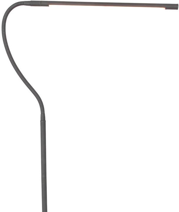 Image du produit Steinhauer Serpent (600 lm)