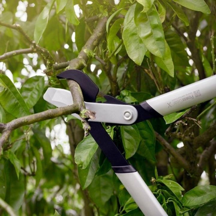 Immagine prodotto Fiskars Lx98-L