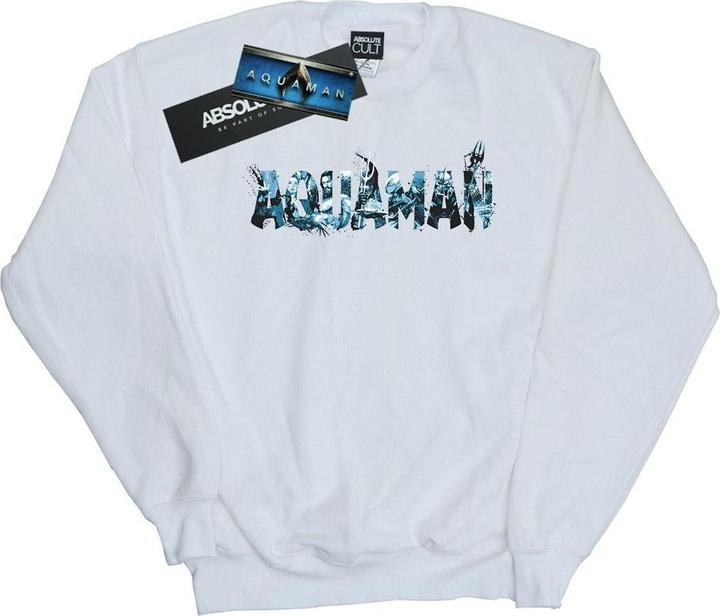 Actual product image Womens/Ladies Aquaman Text Logo Sweatshirt (L)