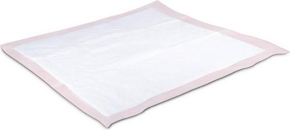 Actual product image Record Fragrant absorbent mat with angular adhesives, 60 x 60 cm, 10 pcs. (Dog)