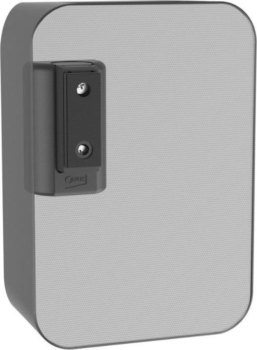 Immagine prodotto Cavus CMBPFW - Bluesound (1 pz., Installazione a parete, Rotante, Inclinabile)