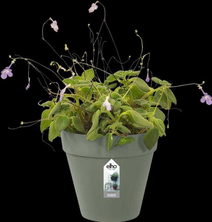 Actual product image Elho Loft Urban Green Wall Plant Pot Single (15 cm)