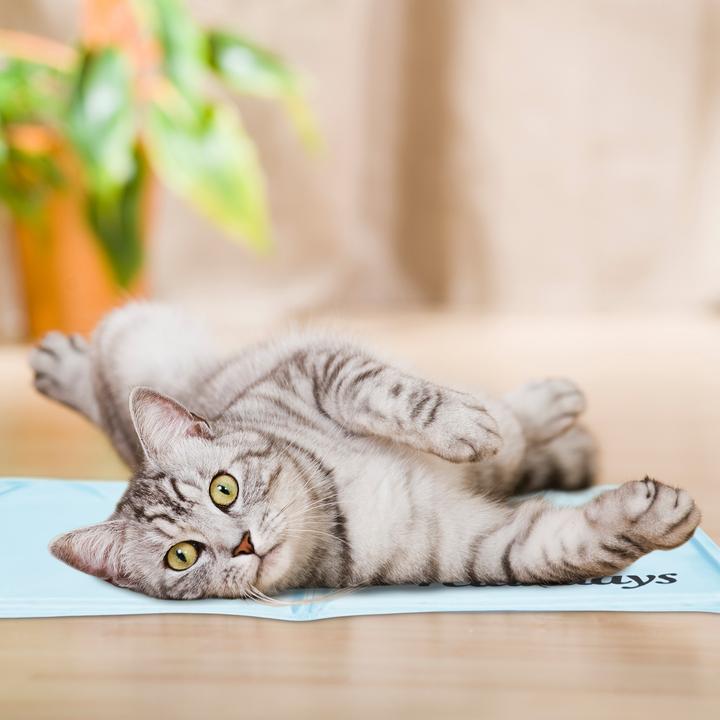 Immagine prodotto Relaxdays Tappeto di raffreddamento (Cane)