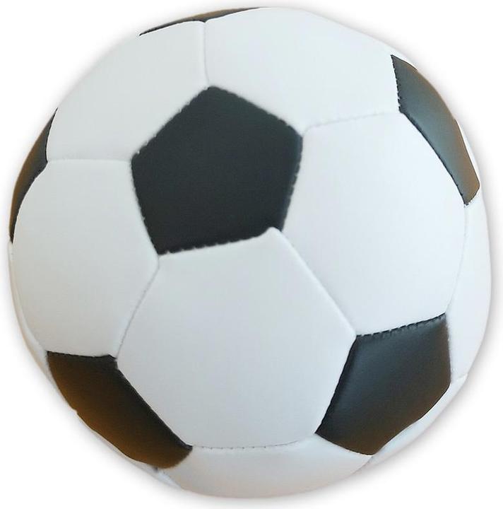 Actual product image New Sports Softballs 10 cm assorted
