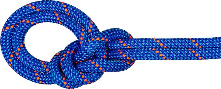 Actual product image Mammut 9.5 Crag Dry climbing rope (80 m)
