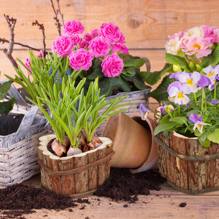 Actual product image Relaxdays Flower box (29 cm)