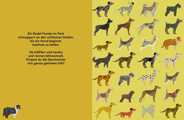 Produktbild Wir gehören zusammen! (Deutsch, Britta Teckentrup, 2015)