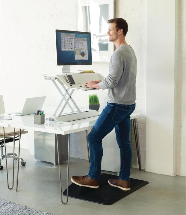 Actual product image Fellowes Lotus DX