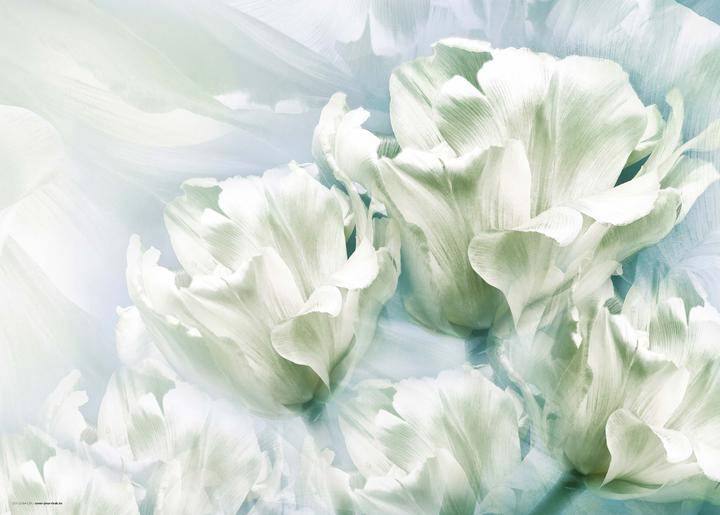 CoverYourDesk Schreibtischunterlage Romantische weisse Tulpen