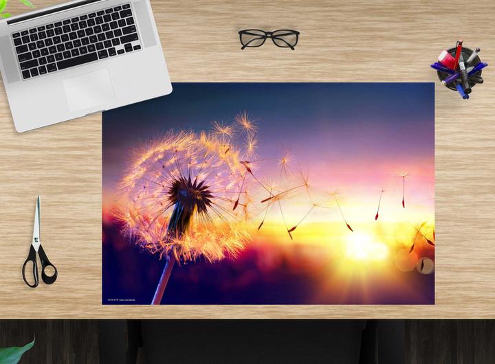 Produktbild CoverYourDesk Schreibtischunterlage Pusteblume im Sonnenlicht (40 x 60 cm)