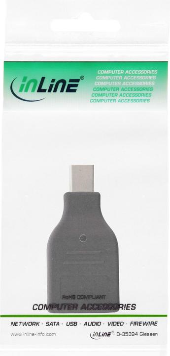 Image du produit InLine Convertisseur DisplayPort (HDMI, 12 cm)