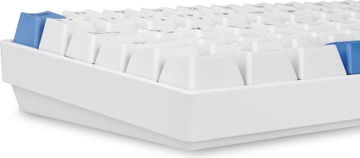 Actual product image Sharkoon Skiller SGK50 S3 PBT (DE, Cable)
