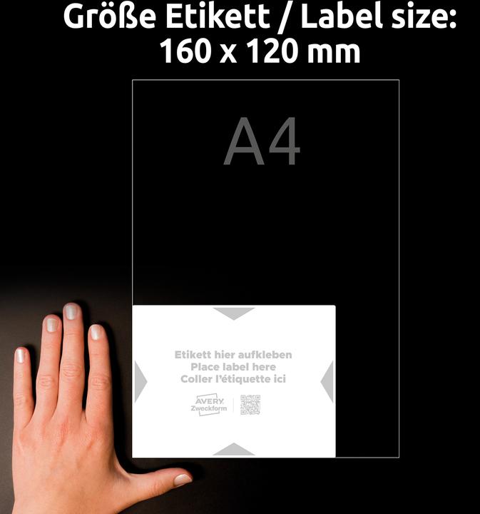 Actual product image Avery Carrier labels