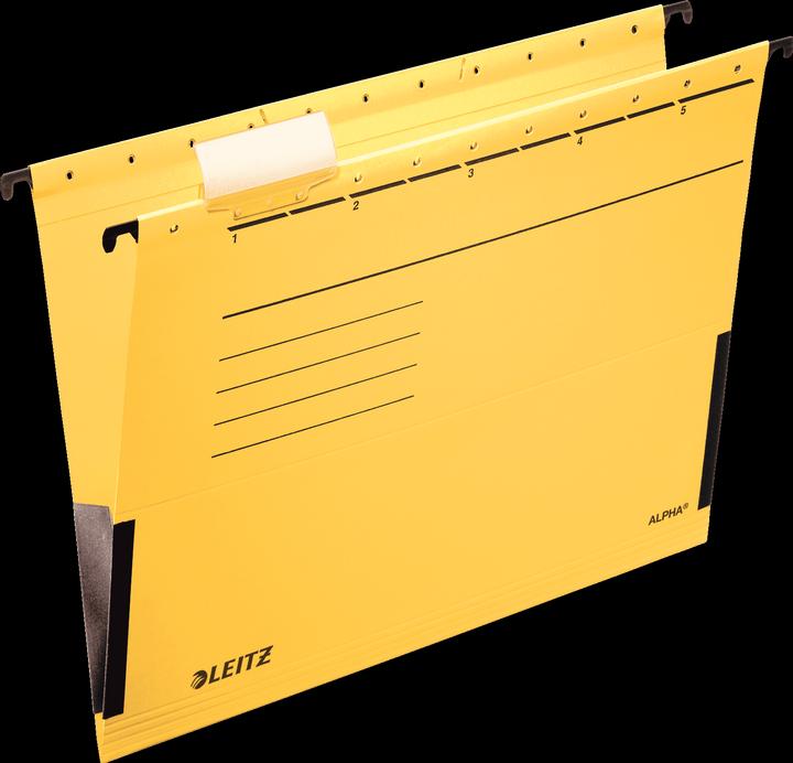 Actual product image Leitz Alpha (A4, 5 x)