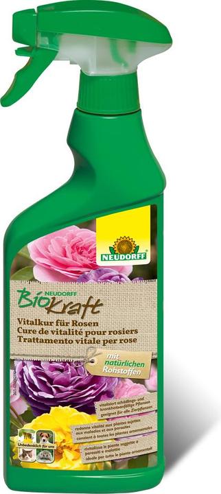 Actual product image Neudorff BioKraft vital cure for roses, 500 ml