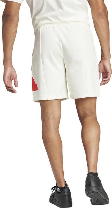 Actual product image adidas Future Icons Batch of Sports Shorts (S)