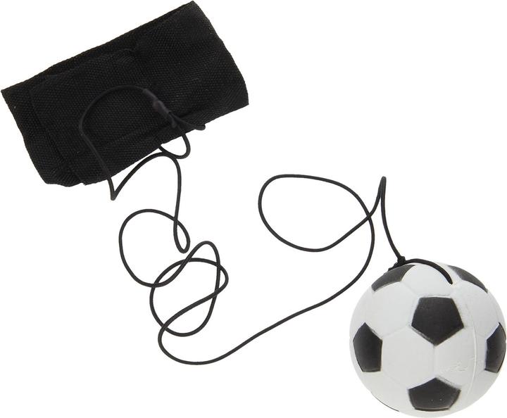 Actual product image Roost Returnball