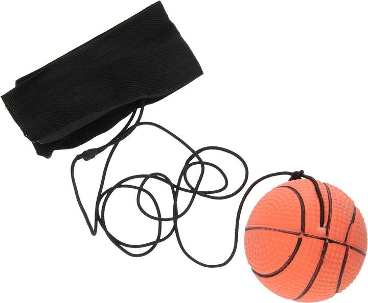Actual product image Roost Returnball