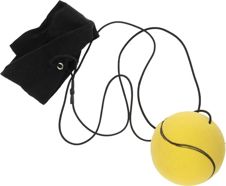 Actual product image Roost Returnball