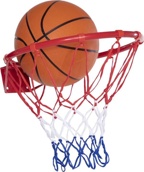 Actual product image 666 Sport Basketball hoop