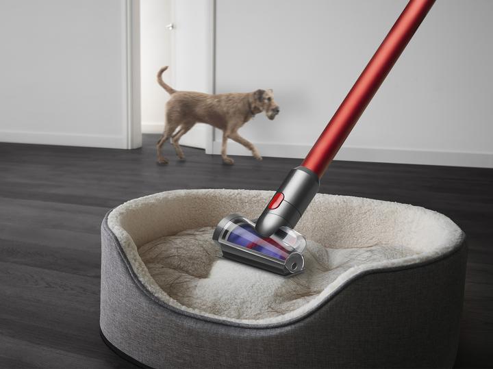 Produktbild Dyson Outsize Absolute