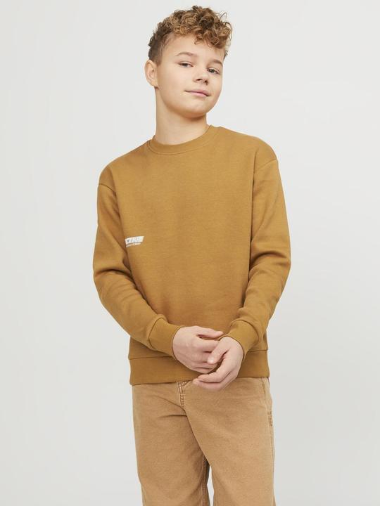 Actual product image Jack & Jones Jorcollect Edt Loose Sweat Crew Jnr (140)
