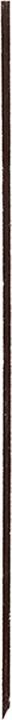 Actual product image Shiseido MicroLiner Ink (Brown)