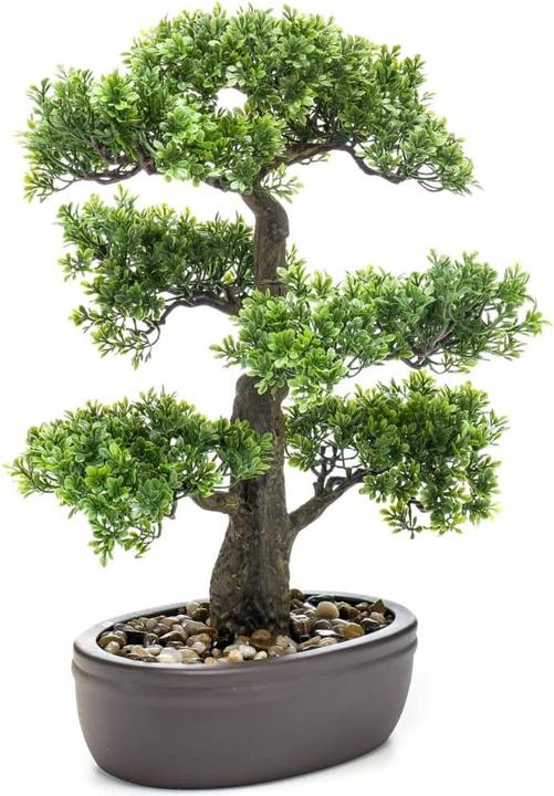 Image du produit Emerald Mini Ficus-Bonsai (43 cm)