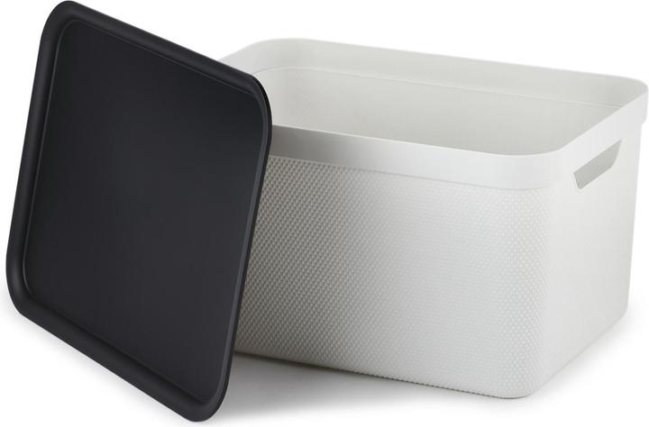 Immagine prodotto Rotho Jive (36,5 x 26,5 x 20 cm, 18 l)
