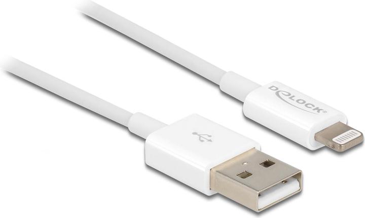 Actual product image Delock USB Charging Cable for iPhone 15 cm White (0.15 m, USB 2.0)