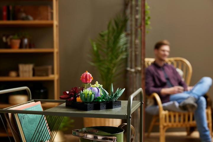 Actual product image LEGO Succulents (10309, LEGO Botanical, LEGO Rare Sets)