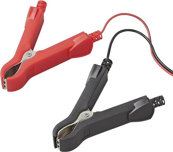 Immagine prodotto ProPlus Allenatore di batterie 12V